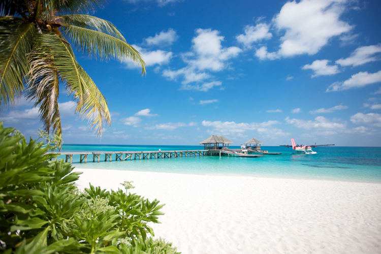 Beach and arrival